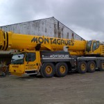 montagrues levage grues manutention paris